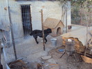 DSC05512