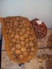 DSC05529
