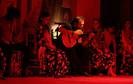 Flamenco2