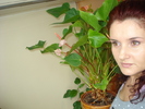 LANGA ANTHURIUM