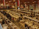 expo oi