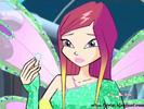 Fanpop-Team-the-winx-club-6888875-476-357