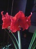 SP_A0040