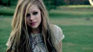 avrilcopy