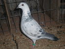 PA270440