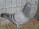 PA270450