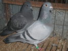 PA270454