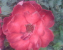 Imag015