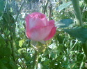 Imag044