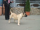 satto