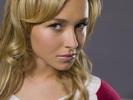 Hayden-Panettiere-hayden-panettiere-4729991-1024-768