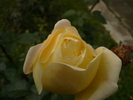 P1030330