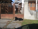 Picture 094