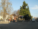 Picture 103