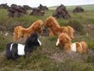 peerie-ponies[1]