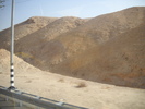 Picture 224
