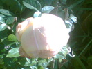 Imag004