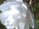 Imag005