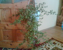 Imag066