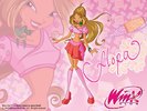 Winx-Club-Official-Wallpapers-the-winx-club-12182678-1024-768