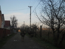 Picture 131