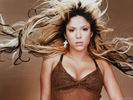 Shakira-shakira-6705582-1024-768