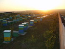 prigorii 2010 008(1)