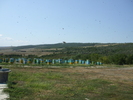 DSCF2818