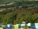 DSCF2866