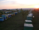 DSCF2929
