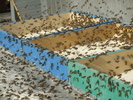 DSCF3045