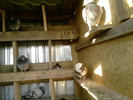 P011110_15.55_[02]
