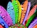 images (32)