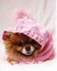 imagesCAW6751N