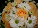 DSC04356