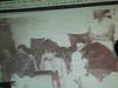 DSCN8951
