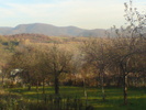 DSC04409