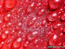 images (3)