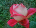 Imag034