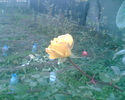 Imag031