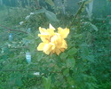 Imag032