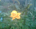 Imag008