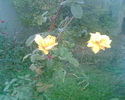 Imag036