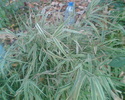 Imag040