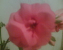 Imag007