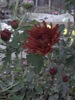 PICT0025
