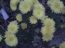 PICT0045
