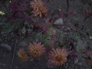 PICT0047