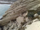 pescarus