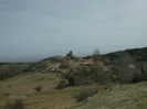 carbonerra